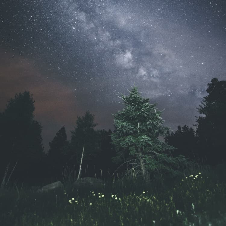 <p>Do your <a href="/the-ebs-method/6wr/lg/evening-meditation/">evening routine</a> </p>
