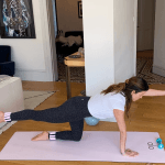 Full Body Muscle and Bones