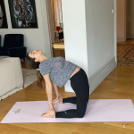 Stretching and Meditation