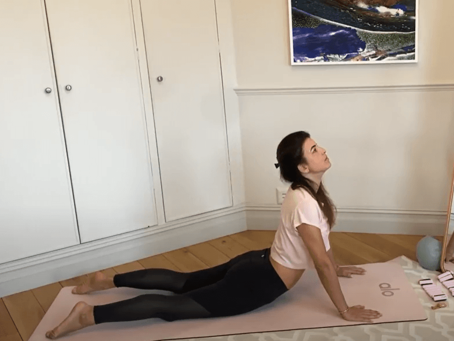 Full Body – Back and Gut Health