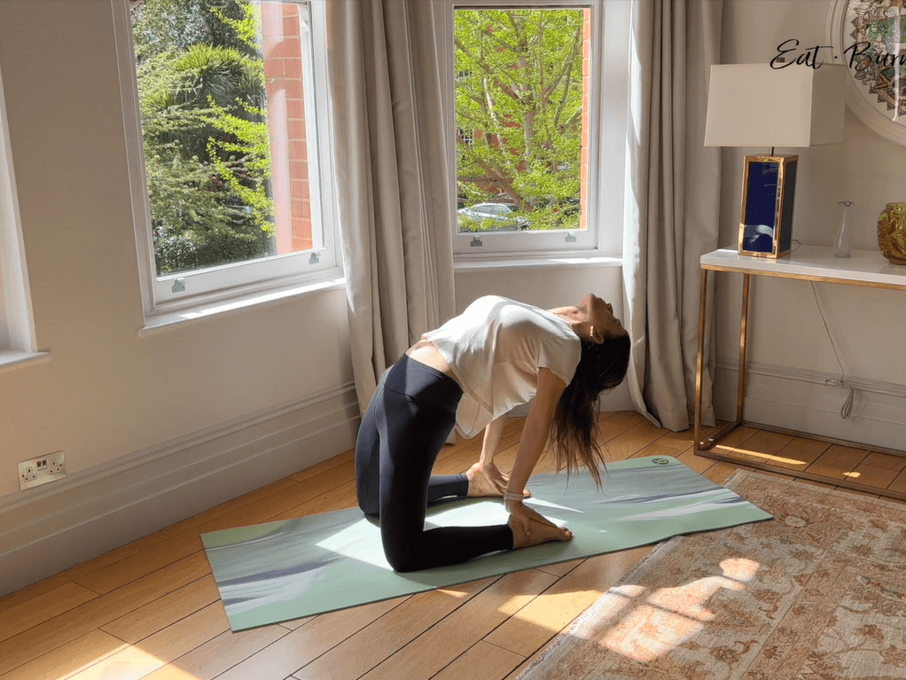 Stretch Routine